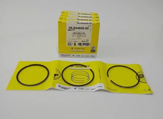 goetze Motor Sekmanı