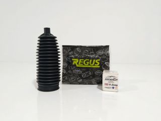 regus Direksiyon Körüğü