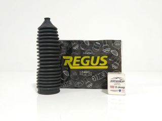 regus Direksiyon Körüğü