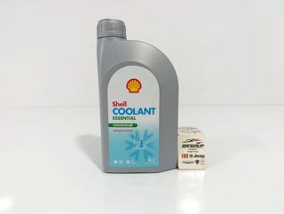 Shell Antifriz 1lt Mavi